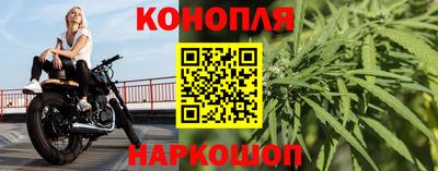 mdpv Заводоуковск